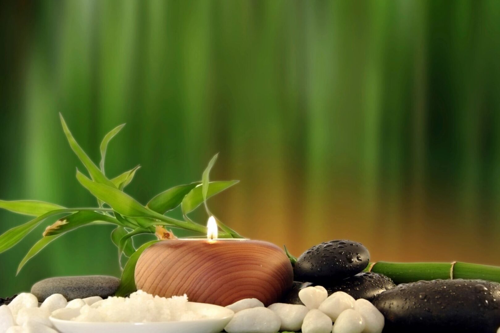 A candle sitting on some rocks with bamboo in the background